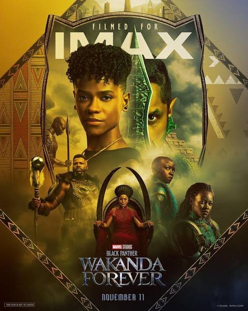 free Black Panther Wakanda Forever (2022) MCU Hindi Dubbed Full Movie BluRay HD ESub – FILMYFLY