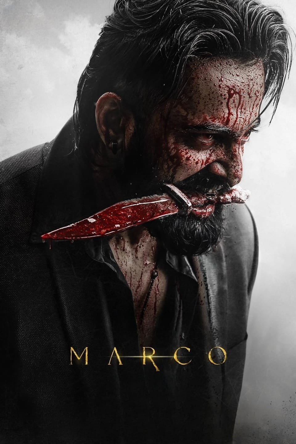 Free Marco (2024) (Hindi + Malayalam) Dual Audio UnCut South Movie HD ESub – FILMYFLY